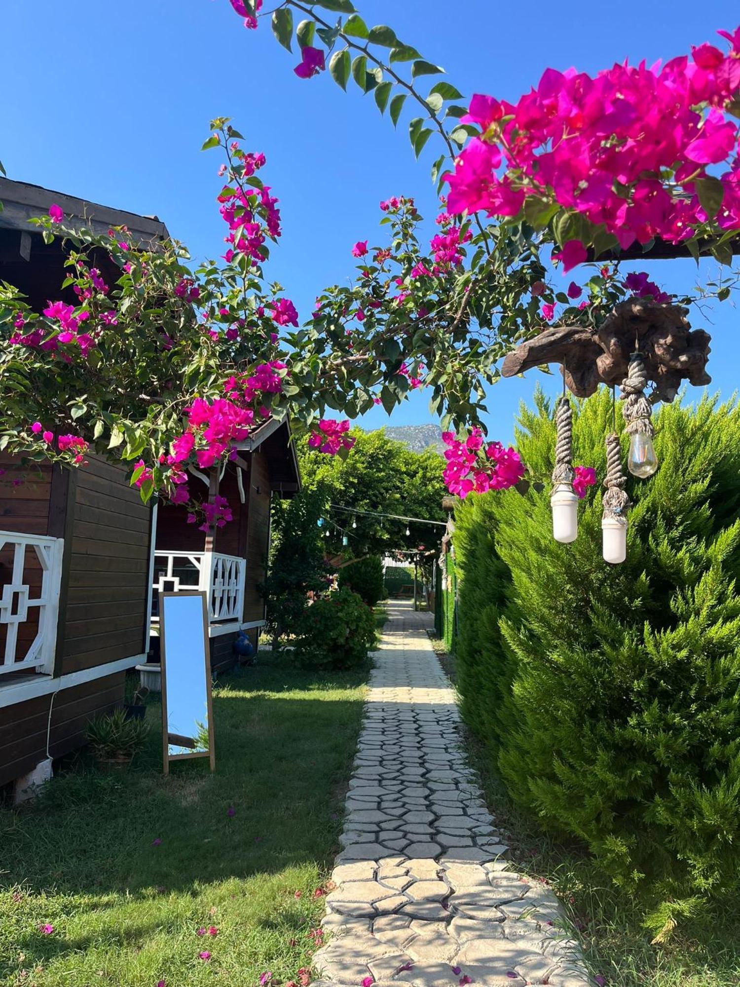 Karaoez Ada Bungalows & Villa Esterno foto